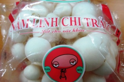 Tràn lan nấm lạ 